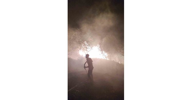 Gazipaşa’da yangın paniği