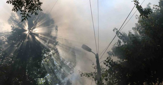 Kahramanmaraş’ta korkutan yangın