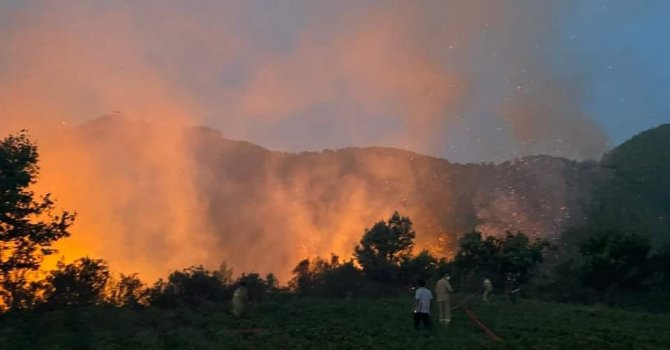 Mersin’de orman yangını havadan ve karadan müdahale ile kontrol altına alındı