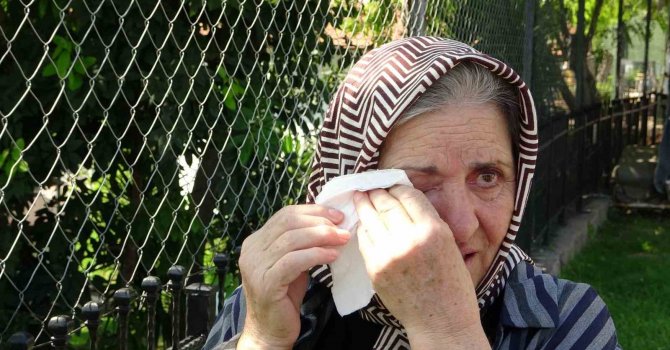 Dünyaca ünlü falezlerdeki yangın ağlattı