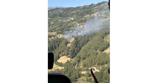 Adana’da ikinci orman yangını: Ekipler müdahaleye başladı