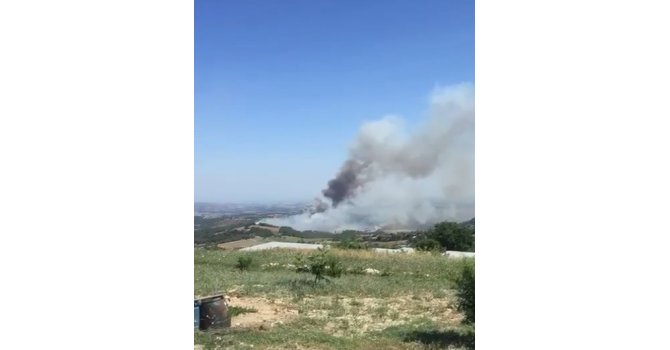 Tarsus’ta çıkan orman yangını kontrol altına alındı