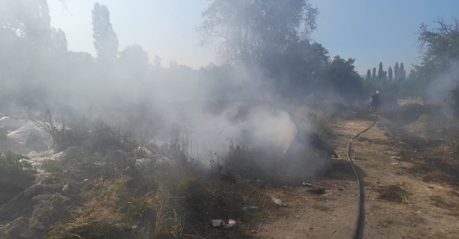 Alevlerin arasında kalan kaplumbağa itfaiye ekipleri tarafından kurtarıldı