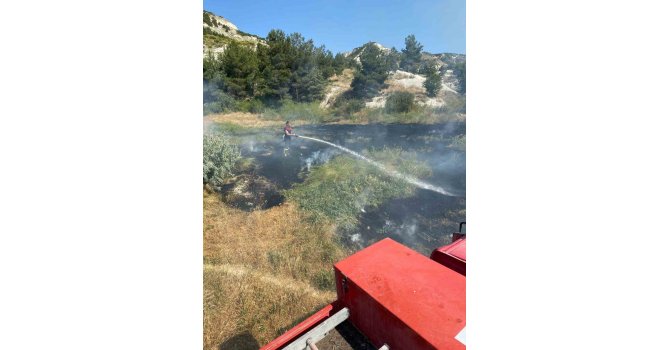 Burdur’da ekin yangını hayvan barınağına sıçramadan söndürüldü