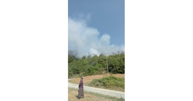 Osmaniye’de orman yangını: Ekipler müdahaleye başladı