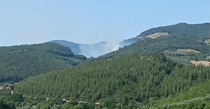 Osmaniye’deki orman yangını söndürüldü