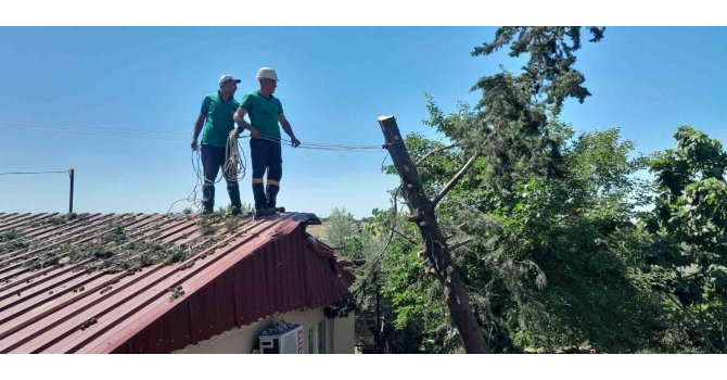 Ağaç lojmanın üzerine devrildi, ekipler kaldırdı