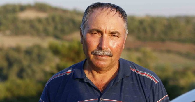 Adana’daki orman yangınında sabotaj iddiası