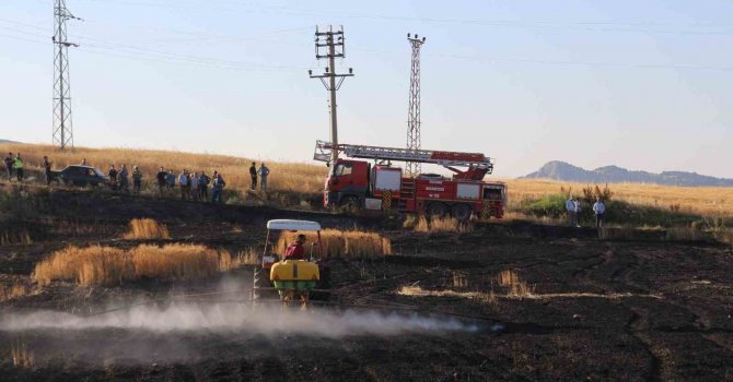 Elektrik direğinden sıçrayan kıvılcımlar 8 dönüm araziyi kül etti