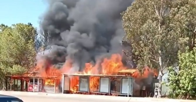 Adana’da kafede çıkan yangın ormana sıçradı