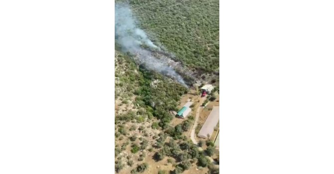 Kaş’ta orman yangını başladı