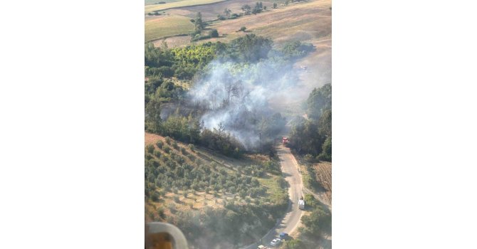 Ceyhan’da orman yangını