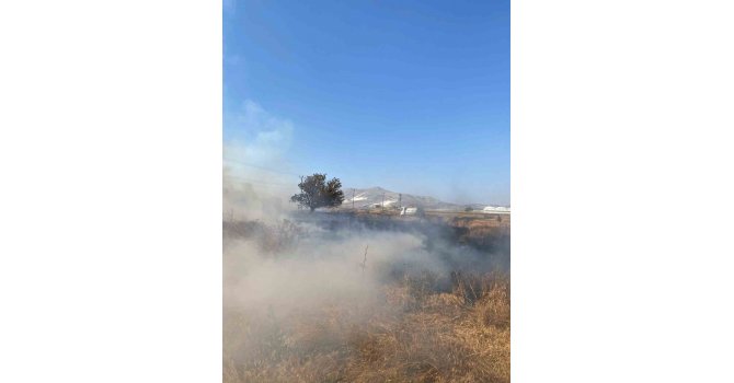 Burdur’da 30 dönüm hububat tarlası küle döndü