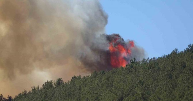 Kahramanmaraş’taki orman yangını söndürüldü