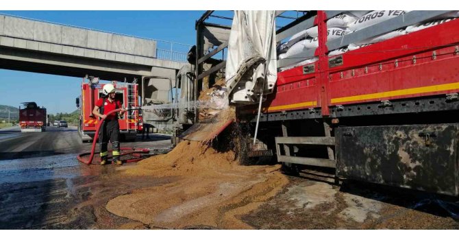 Mersin’de yem yüklü tır yandı