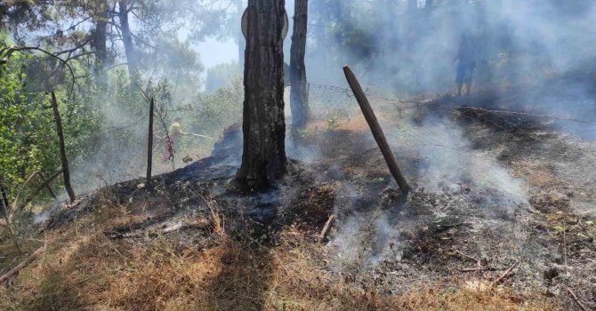 Adana Kozan’da orman yangını, ekipler kontrol altına aldı