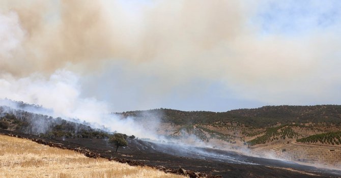 Kahramanmaraş’taki orman yangını kontrol altına alındı