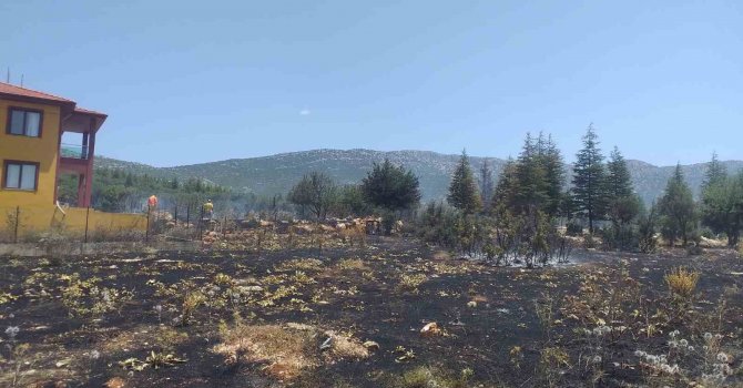 Antalya’da çalılık alanda yangın