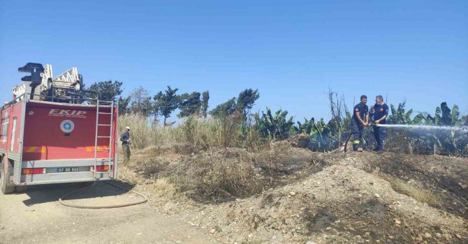 Muz bahçesinde korkutan yangın