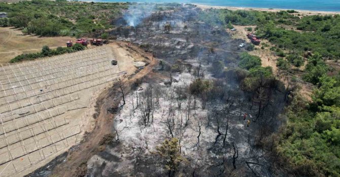 Manavgat’taki orman yangınında ihmal iddiası