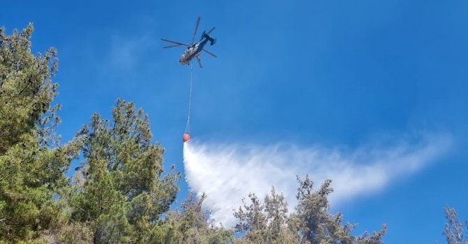 Hasanbeyli’de orman yangını kontrol altına alındı