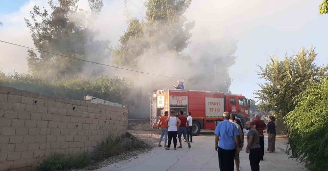Kadirli Orman İşletmesine ait tomruk deposunda yangın