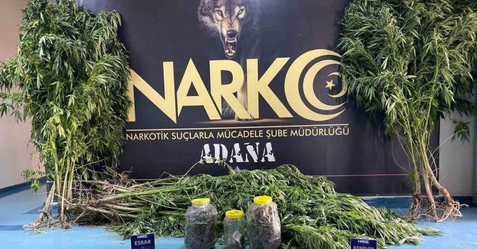 ’Satmıyorum kullanıyorum’ diyen uyuşturucu taciri tutuklandı