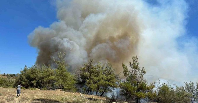 Adana’da orman yangını çıktı