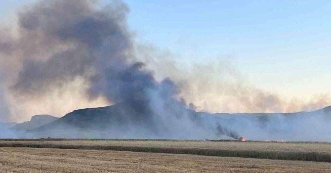Burdur’da 300 dekarlık tarım arazisi ve saman balyaları küle döndü