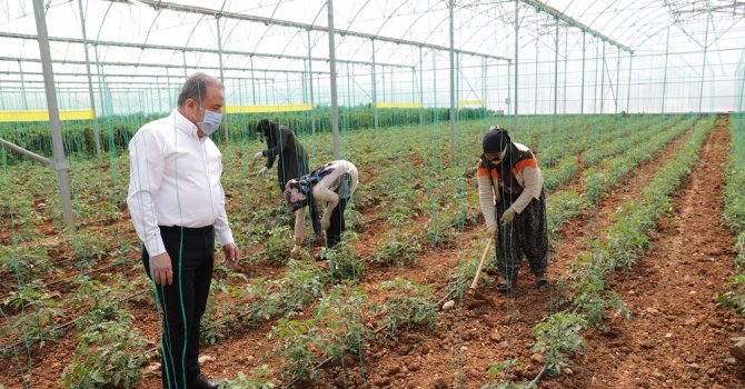 Başkan Böcek Serik’te üreticileri ziyaret etti