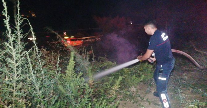 Manavgat’ta ot çalı yangını korkuttu