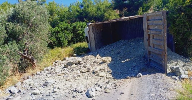 Freni tutmayan kamyon devrildi: 1 yaralı