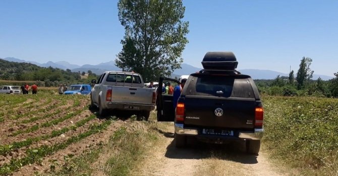 Kayıp yaşlı kadın mısır tarlasında ölü olarak bulundu