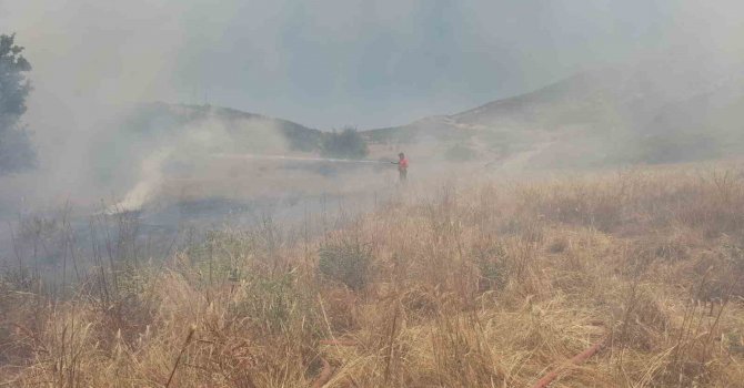 Arazide çıkan yangın ormanlık alana sıçramadan söndürüldü