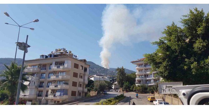 Antalya’da orman yangını kontrol altına alındı, 1.5 hektar alan zarar gördü