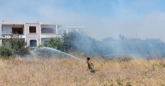 Alevlerin içinde kalan kaplumbağayı itfaiye kurtardı