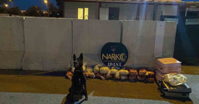 Biber salçalı ve zeytinyağlı 27 kilo esrar ele geçirildi