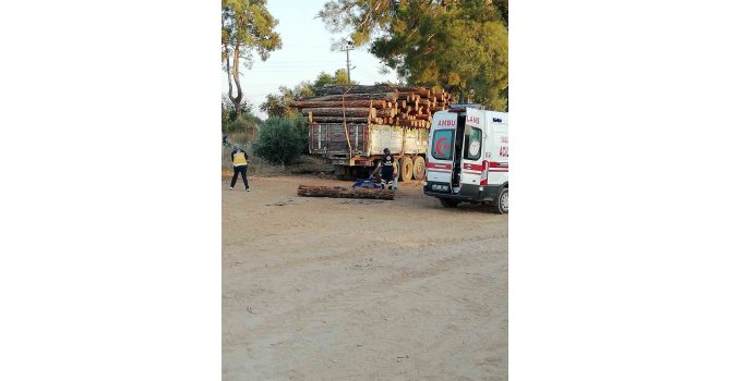 Başına tomruk düşen adam hayatını kaybetti