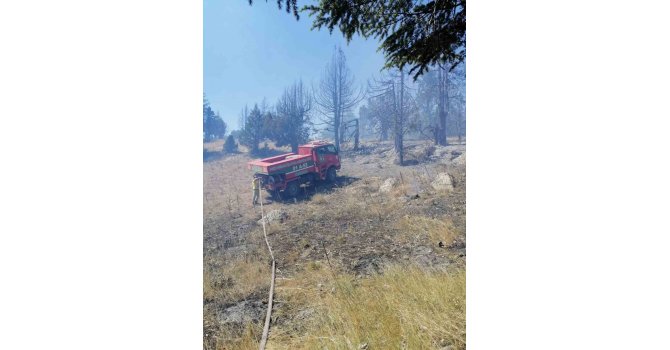 Orman yangını kontrol altına alındı