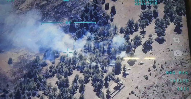 Anızdan ormana sıçrayan yangın kontrol altına alındı