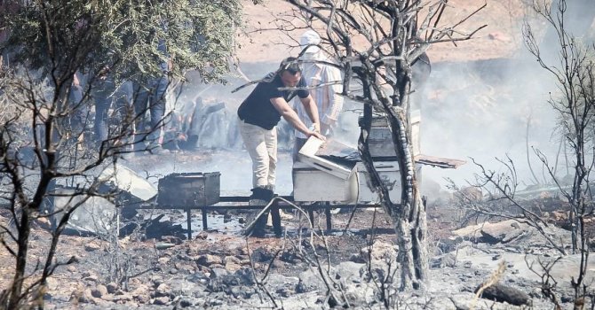 Antalya’da çalılık alanda çıkan yangın kovanları küle çevirdi