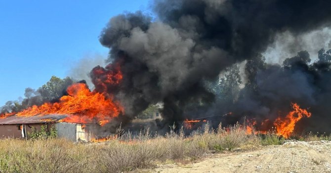 Depo alev topuna döndü, çıkan dumanlar gökyüzünü kapladı