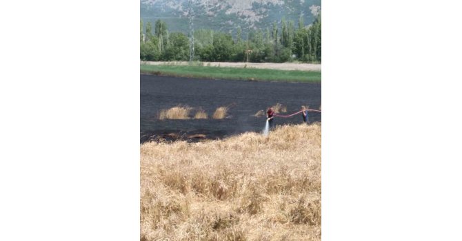 Burdur’da 40 dönüm buğday tarlası yangında küle döndü