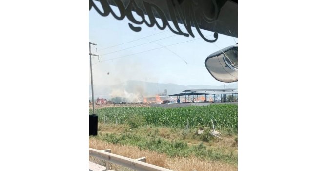 Oduncuda yangın çıktı