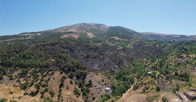 Kahramanmaraş’ta yanan 15 hektar alan dron ile görüntülendi