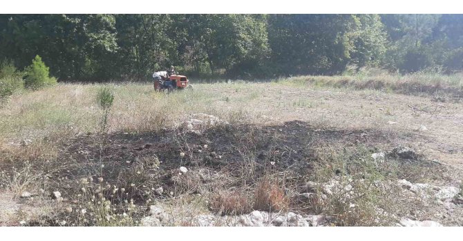 Manavgat’taki yangın ormana sıçramadan söndürüldü