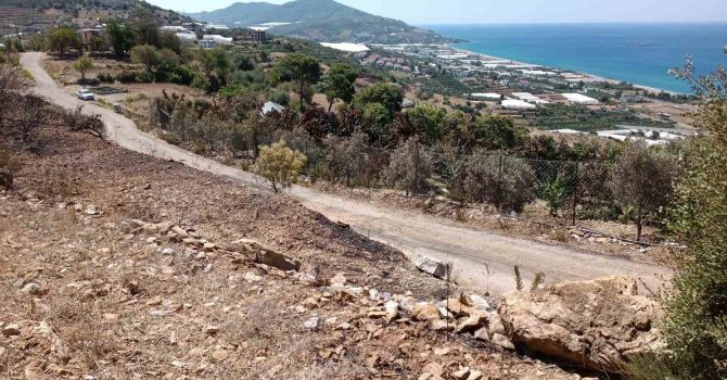 Alanya’da avokado bahçesinde çıkan yangında 9 dönüm alan zarar gördü