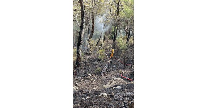 Kaş’taki yangını söndürüp Kemer’de görevlerine devam ettiler