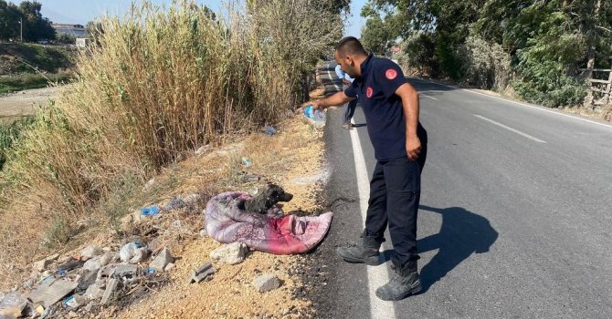 Bataklığa saplanan köpeği itfaiye kurtardı