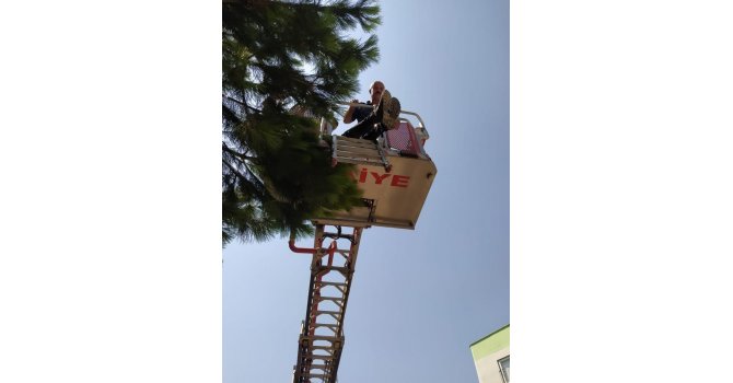 Tinerden zehirlenen işçi hastaneye kaldırıldı